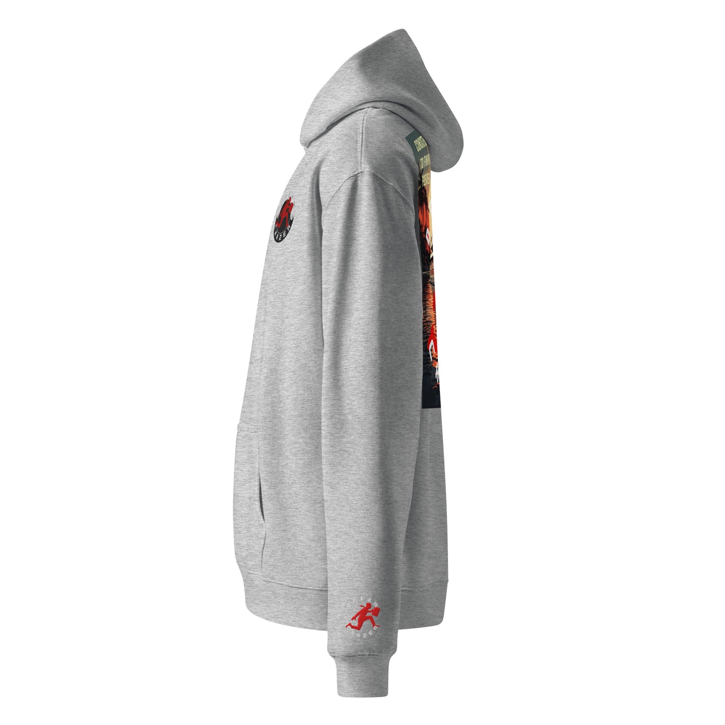 DC Premium Unisex oversized hoodie - Dreamchazer